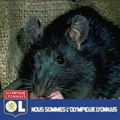 rati
