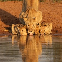 DaughterofZion93