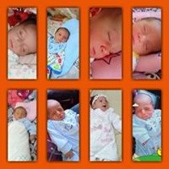 Ali Ahmed