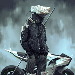 Hitman 45545