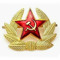 Рождённый в РСФСР