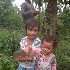selvia