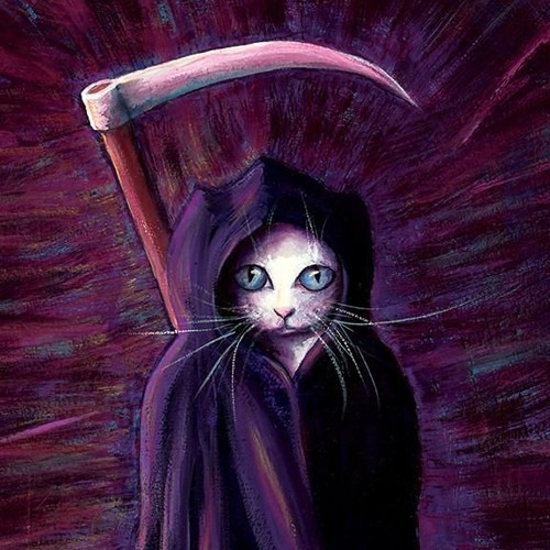 Как выглядит смерть кошки
