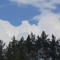 Elein Haze