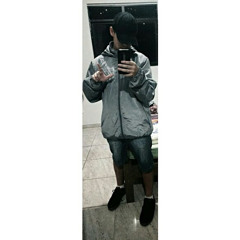 hugo ribeiro