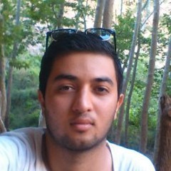 mohamad javanmardy