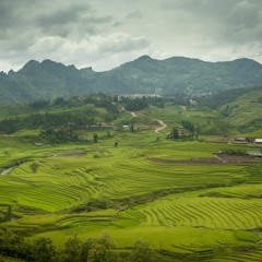 LIGTEA