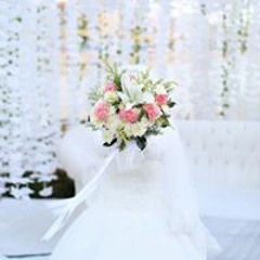 Noha Roushdy