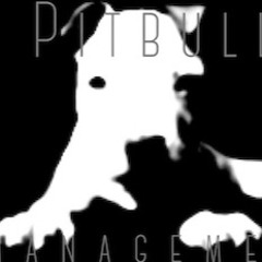 Pitbull Management France