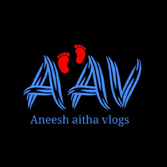 Aneesh Aitha vlogs