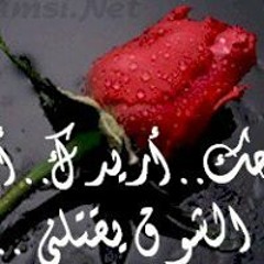 Mahmod El Bayome ALsayed