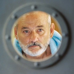 The Captain Zissou