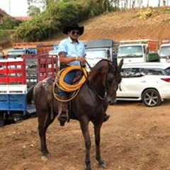 David Zuñiga Alvarado