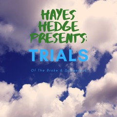 Hayes Hedge