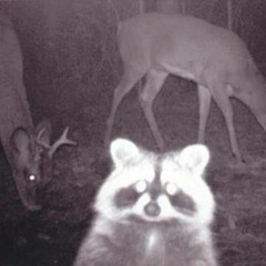 Marko von der Lahn jo