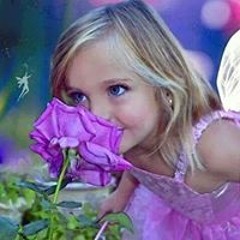 حازم الجمال