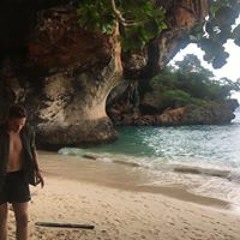 Dries Vanvinckenroye