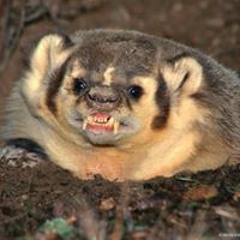 Сергей Иванов