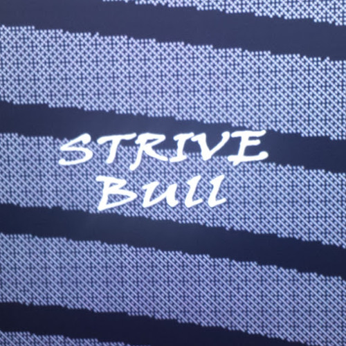 StriVe Bull’s avatar