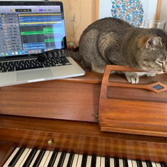 Too Lazy To Love You