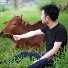 Tỉnh Trần