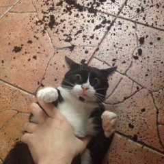 d_messag but the overdriven guitar solo is replaced with touhou trumpets