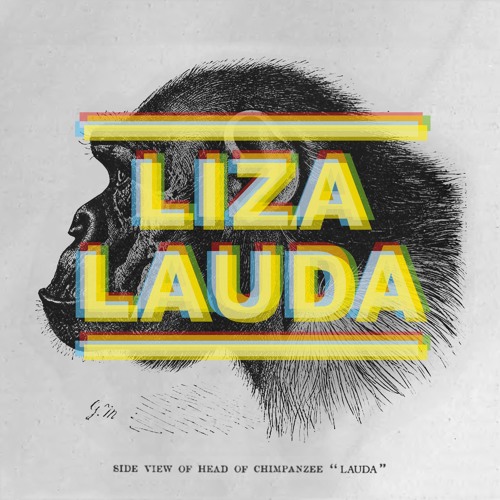 Liza Lauda’s avatar