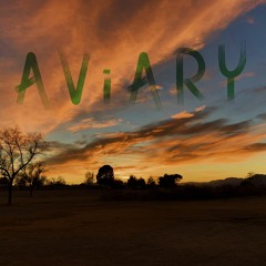 AViARY Studio