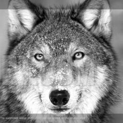 ramirezjuancarlos420