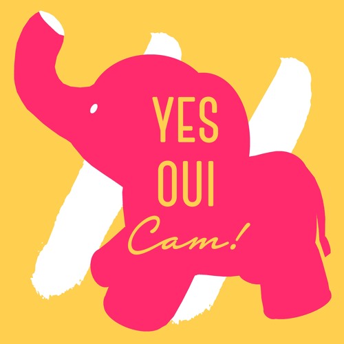 YES OUI CAM !’s avatar