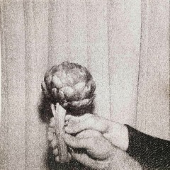 植物曲張 artichoke heart