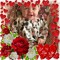 Kirsty Leigh Harmieson