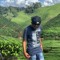 Muhd Qayyim
