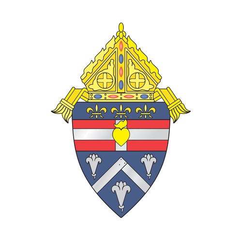 Diocese of Houma-Thibodaux’s avatar