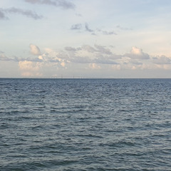 raciolek