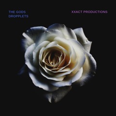 xxact Production