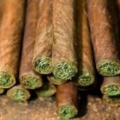 Rollin Dubz