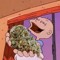 Stoned Tommy