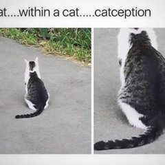 ļůņä mœöň