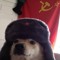 Reeee_Boi
