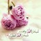 User 150535192
