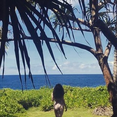 X×Crчptíc Dєαth×X