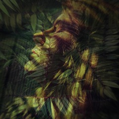 Konstantyno Politańczykowianeczka