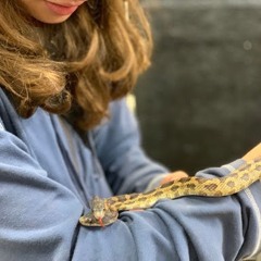 Anastazia Kettlewell