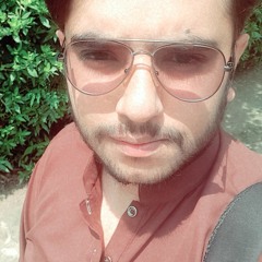 Hamza Sahi 3