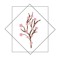 Bioptic mon