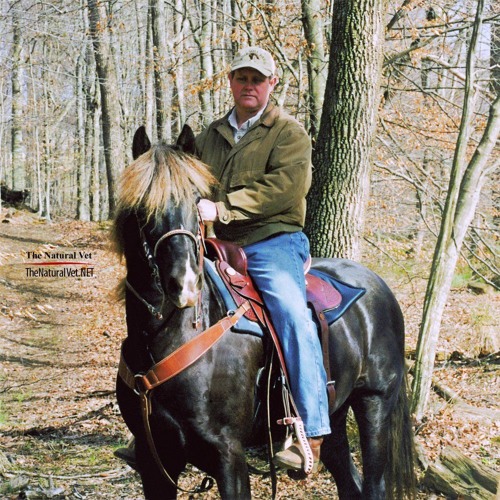 Dr. Dan on NHN Radio Show | Dr. Dan Moore The Natural Vet Visits Natural Horse Network Radio