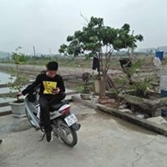 cu quang