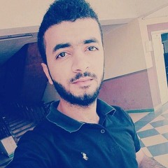 Ezzat Elshaarawy