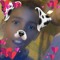 Junior Malvadao Do Fallet